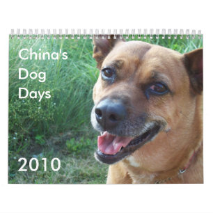 Calendrier Les canicules 2010 de la Chine