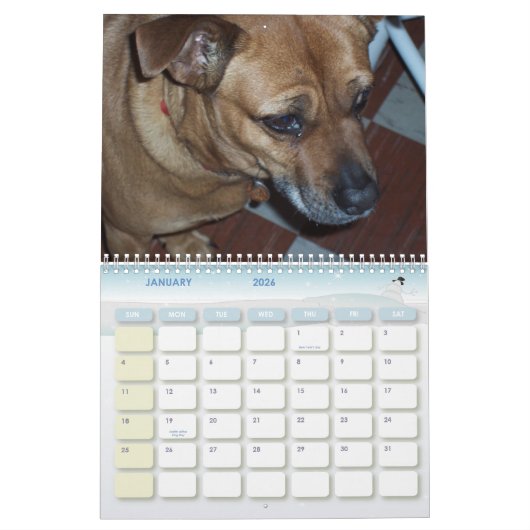 Calendrier Les canicules 2010 de la Chine (Jan 2026)