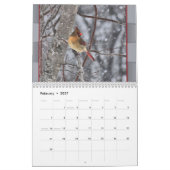 Calendrier Les cardinaux pour le chaque mois 2016 peuvent (Feb 2027)