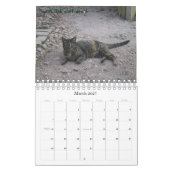 Calendrier Les chats de Swede Hill, 2009 (Mar 2027)