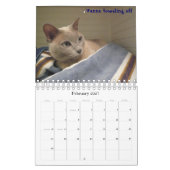Calendrier Les chats de Swede Hill, 2009 (Feb 2027)