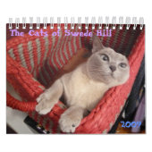 Calendrier Les chats de Swede Hill, 2009 (Protection)