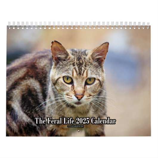 Calendrier Les chats photo Feral Life 2025 (Protection)