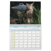 Calendrier Les chats photo Feral Life 2025 (Feb 2026)