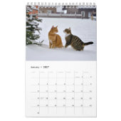 Calendrier Les chats s'amusent (Jan 2027)