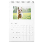 Calendrier Les chevaux classent 2018 (Mar 2026)