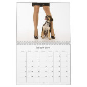 Calendrier Les chiens de l'académie de étude canine (Jan 2026)