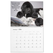 Calendrier Les Chiens De L'Ours Non Sont Aussi Des Gens ! (Jan 2026)