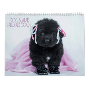 Calendrier Les chiens Notta Bear sont des gens comme les autr