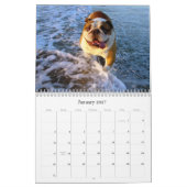 Calendrier Les chiens veulent juste avoir l'amusement… (Jan 2027)