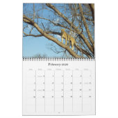 CALENDRIER LES CINQ GRANDS (Feb 2026)