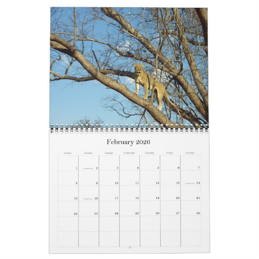 CALENDRIER LES CINQ GRANDS (Feb 2026)