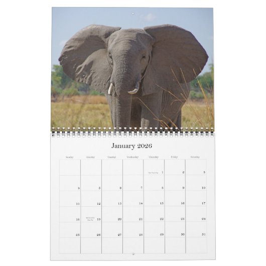 CALENDRIER LES CINQ GRANDS (Jan 2026)