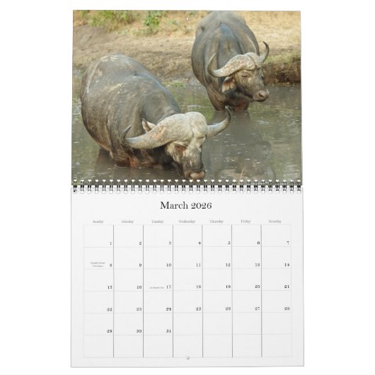 CALENDRIER LES CINQ GRANDS (Mar 2026)