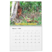 Calendrier Les douze jours de Noël par des orangs-outans (Feb 2026)