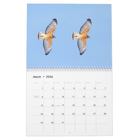 Calendrier Les faucons dans la nature 2026 (Mar 2026)