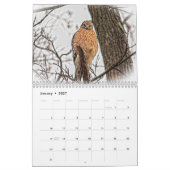 Calendrier Les faucons dans la nature 2026 (Jan 2027)