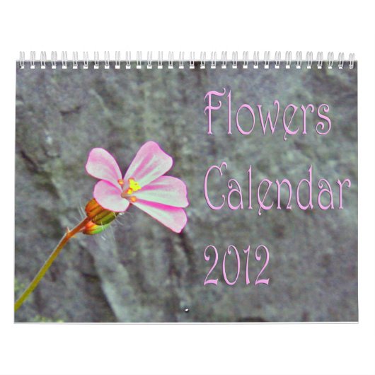 Calendrier Les fleurs classent 2013 (Protection)