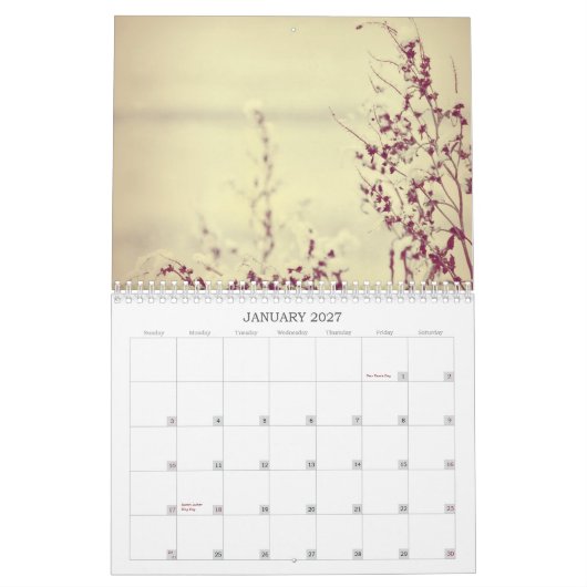 Calendrier Les fleurs classent tout au long de l'année 2013 (Jan 2027)