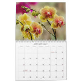 Calendrier Les fleurs tropicales (Jan 2027)