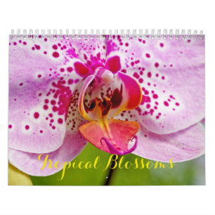 Calendrier Les fleurs tropicales