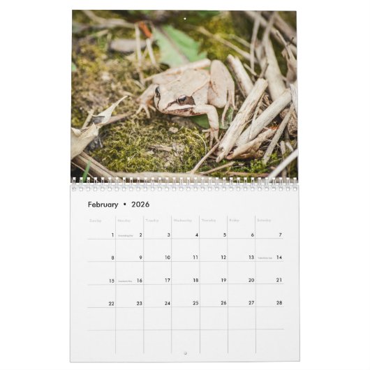 Calendrier Les forêts Créatures Nature (Feb 2026)