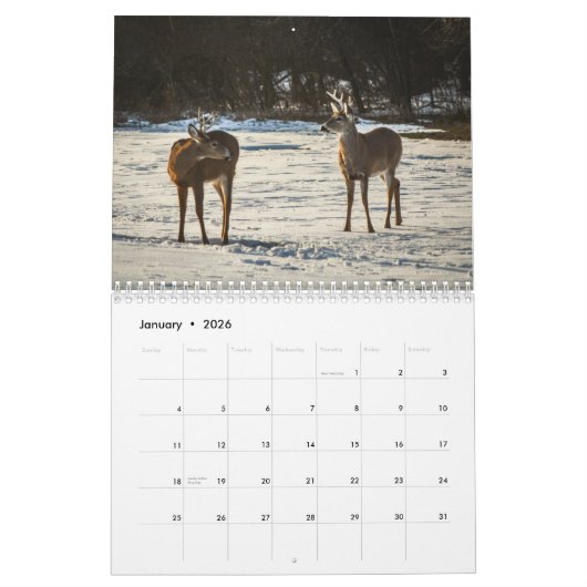 Calendrier Les forêts Créatures Nature (Jan 2026)