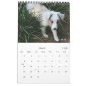 Calendrier Les garçons (Mar 2026)