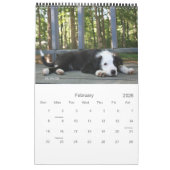 Calendrier Les garçons (Feb 2026)