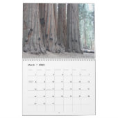 Calendrier Les grands arbres de Californie (Mar 2026)