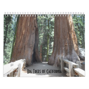 Calendrier Les grands arbres de Californie