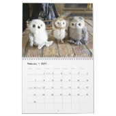 Calendrier Les Hootie-Bébés '15 (Feb 2027)