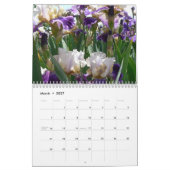 Calendrier Les iris extraordinaires de Marsha Cale 2008… (Mar 2027)
