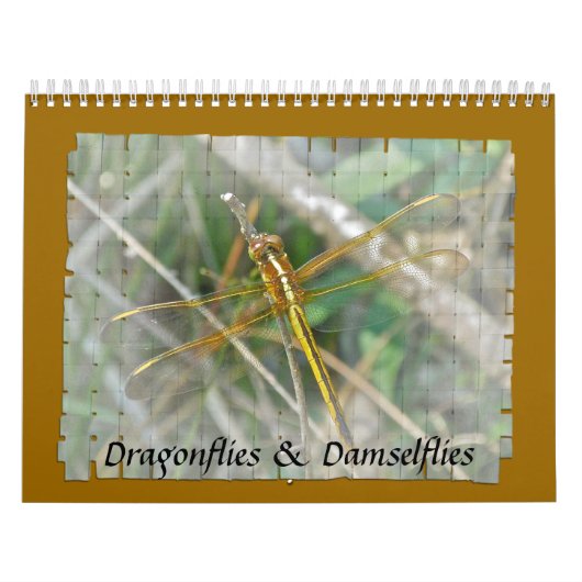 Calendrier - Les libellules et les mouches (Protection)