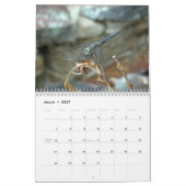 Calendrier - Les libellules et les mouches (Mar 2027)