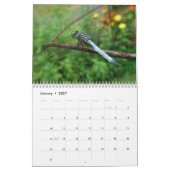 Calendrier - Les libellules et les mouches (Jan 2027)