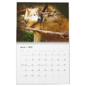 Calendrier Les loups gris de Yellowstone (Mar 2027)