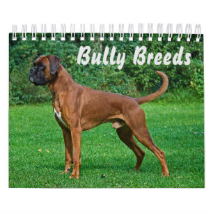 Calendrier Les Magnifiques Race Bully