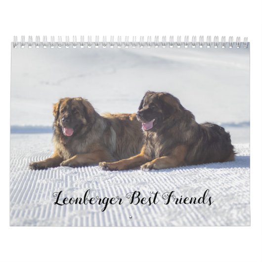 Calendrier Les meilleurs amis de Leonberger (Protection)