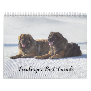 Calendrier Les meilleurs amis de Leonberger