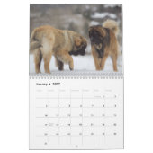 Calendrier Les meilleurs amis de Leonberger (Jan 2027)