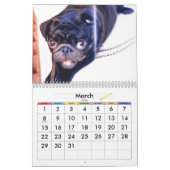 CALENDRIER LES MEILLEURS CARLINS AU MONDE (Mar 2026)