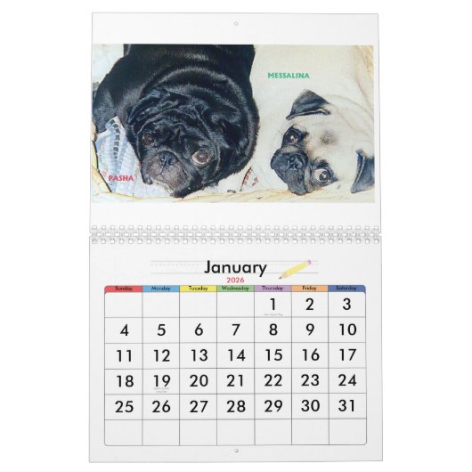 CALENDRIER LES MEILLEURS CARLINS AU MONDE (Jan 2026)