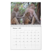 Calendrier Les mères allaitantes Animaux (Feb 2027)