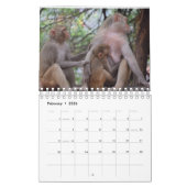 Calendrier Les mères allaitantes Animaux (Feb 2026)