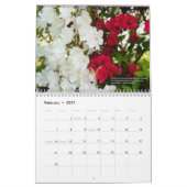 Calendrier Les merveilles de la nature (Feb 2027)