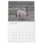 Calendrier Les Mustangs du bassin de lavage de sable (Jan 2027)