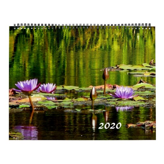 Calendrier Les nénuphars classent 2020 (Protection)