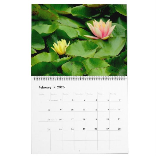 Calendrier Les nénuphars classent 2020 (Feb 2026)