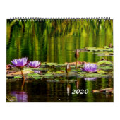 Calendrier Les nénuphars classent 2020 (Protection)